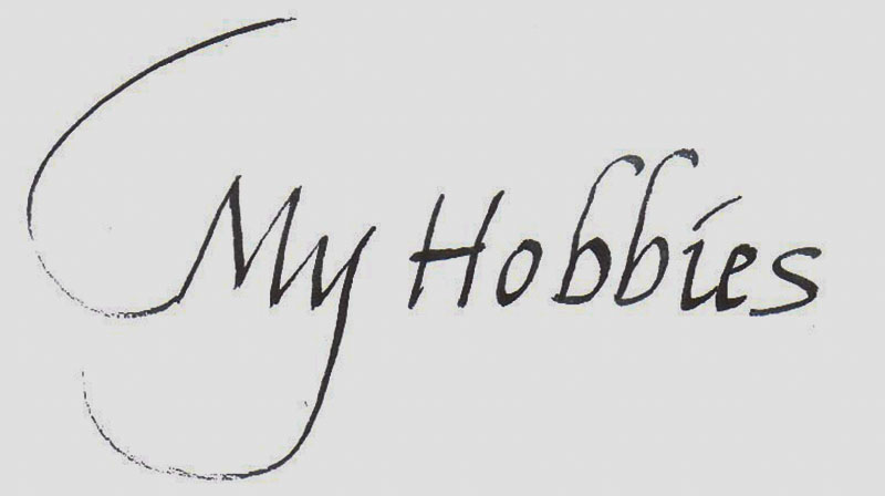 
my hobbies notes