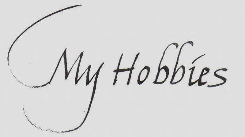 
my hobbies in urdu