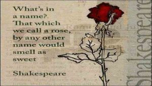 Happy Rose Day picture, Images, Quotes , Message for Girlfriend, Boy