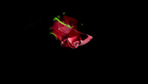 valentine images of love, happy valentine day images, happy valentines day images,valentines day quotes