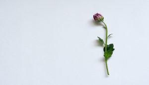 valentine images of love, happy valentine day images, happy valentines day images,valentines day quotes