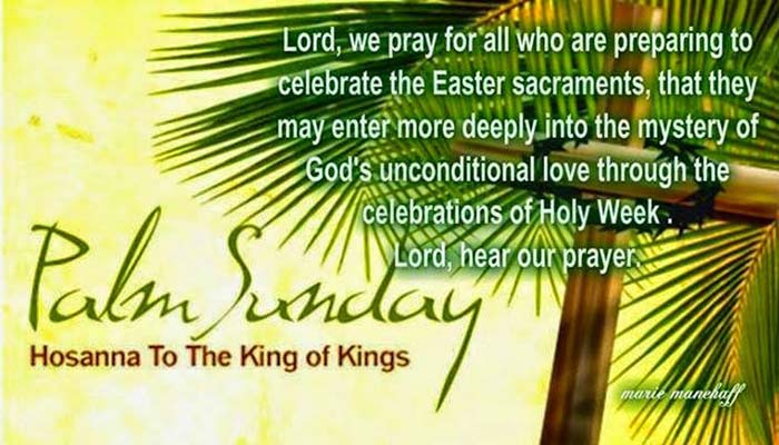 Palm Sunday Images and Pictures 2019 (17) | ALLRESULTBD.ORG