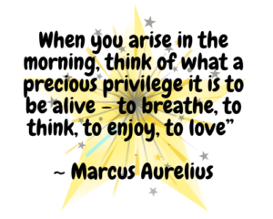 When you arise in the morning, think of what a precious privilege it is to be alive – to breathe, to think, to enjoy, to love” ~ Marcus Aurelius