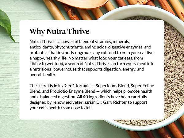 Natural Balance Wet Cat Food
