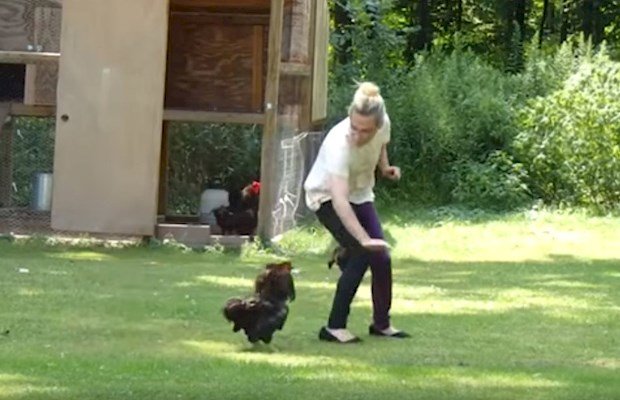 Animals That Hate Humans