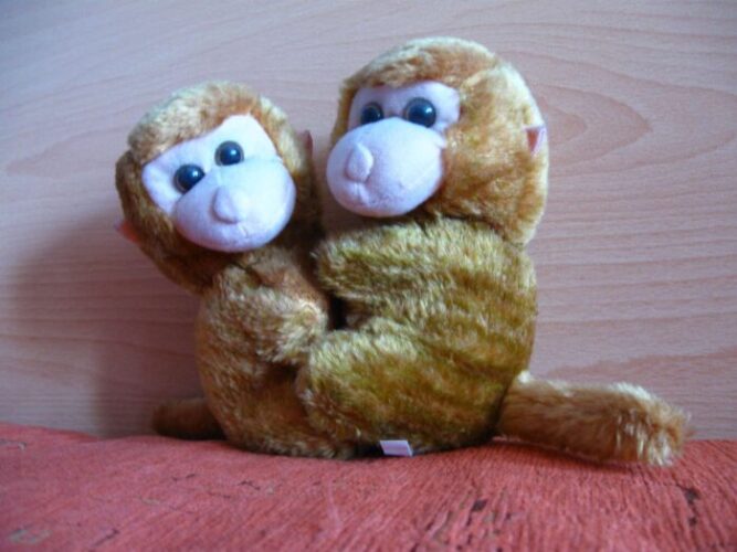 Do Stuffed Animals Have Feelings