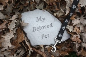 How to Become a Pet Loss Grief Counselor