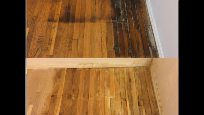 How to Clean Pet Urine Stains from Hardwood Floors