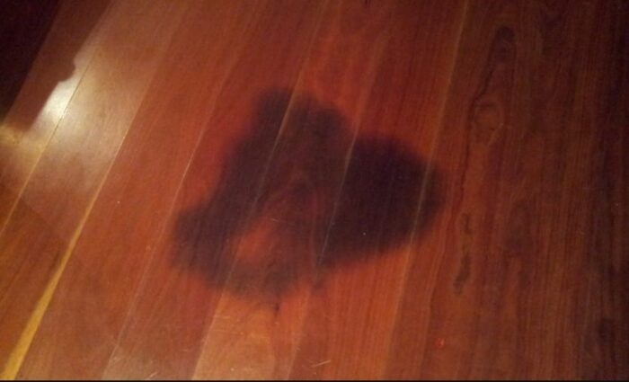 How to Remove Old Pet Urine Stains from Hardwood Floors