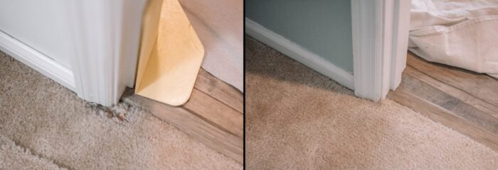 How to Repair Damaged Carpet from Pets