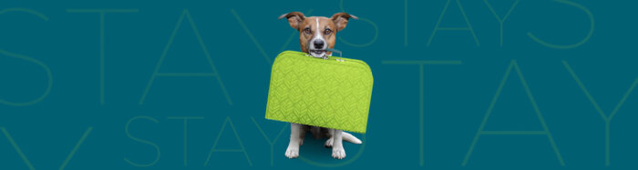 Is Woodspring Suites Pet Friendly